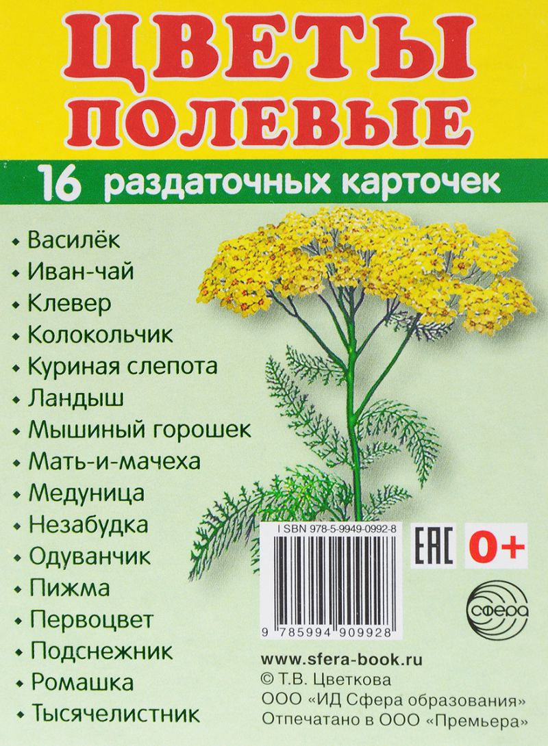 Обложка книги Демонстрационные картинки СУПЕР. Цветы полевые. 16 раздаточных картинок с текстом 63х87 мм, Автор , издательство Сфера | купить в книжном магазине Рослит