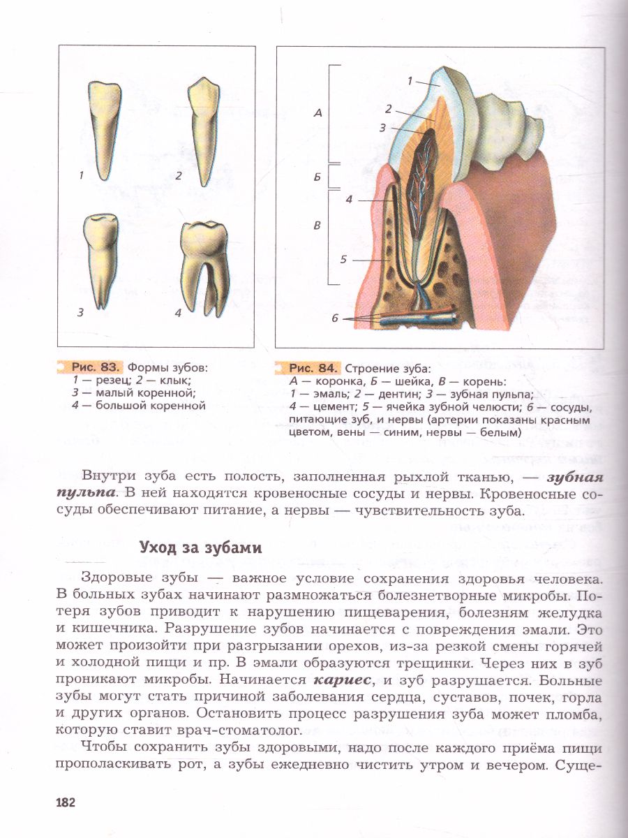 Обложка книги Биология 8 класс. Учебник. ФП, Автор Драгомилов Александр Григорьевич; Маш Реми Давидович, издательство Просвещение | купить в книжном магазине Рослит