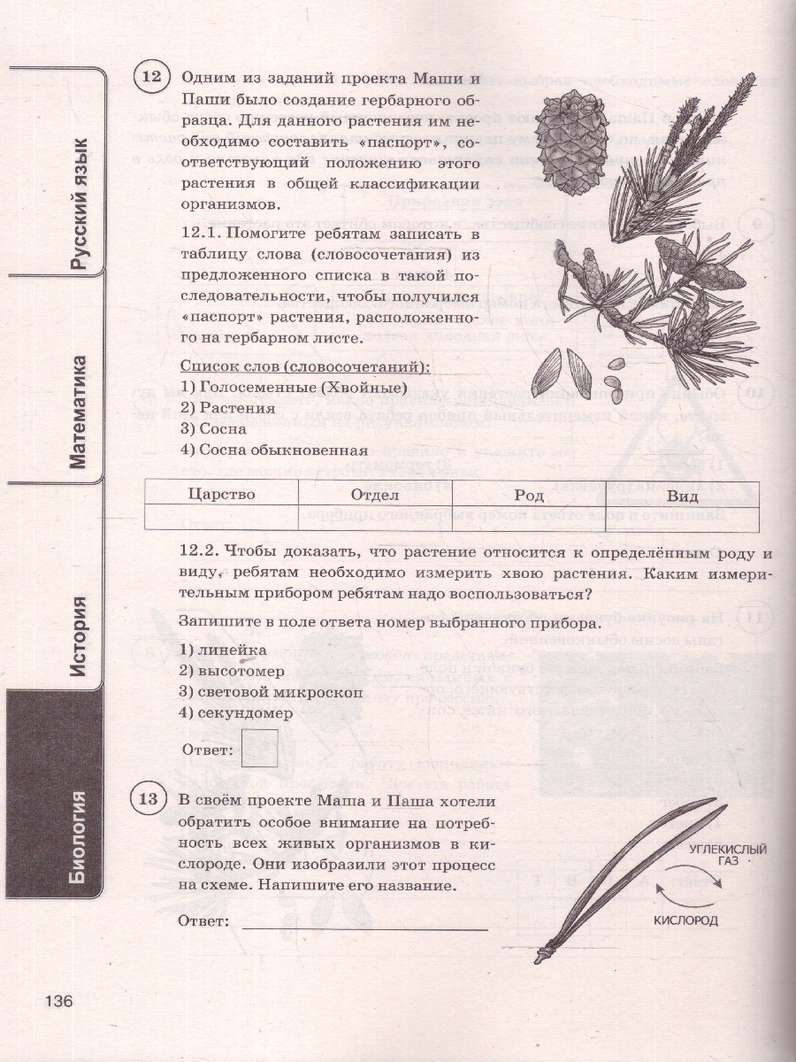 Обложка книги ВПР Русский язык, Математика, История, Биология 5 класс. 24 варианта. ФИОКО СТАТГРАД. ФГОС Новый, Автор Егораева Г. Т.;Ященко И. В.;Алексашкина Л. Н., издательство Экзамен | купить в книжном магазине Рослит