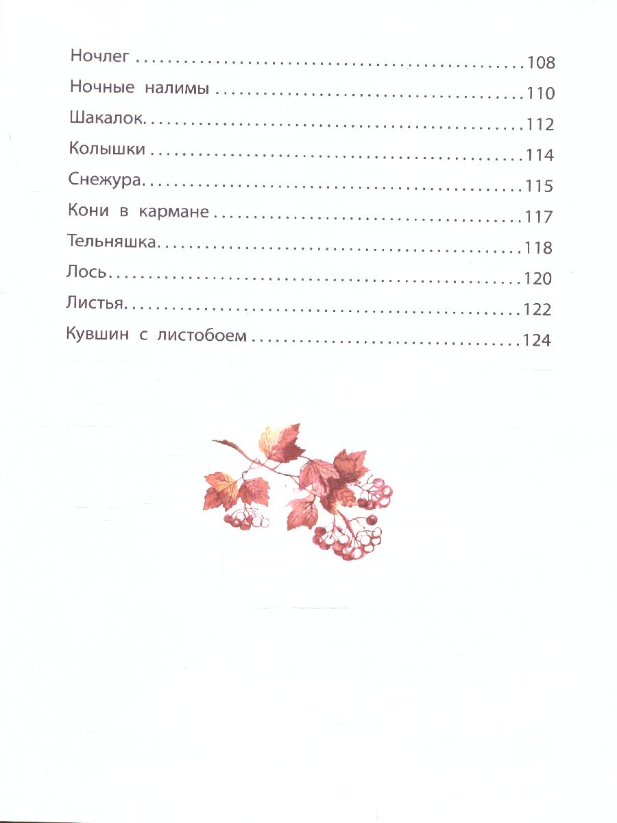 Обложка Листобой. Рассказы /ДетИллюстрКлассика, издательство АСТ | купить в книжном магазине Рослит