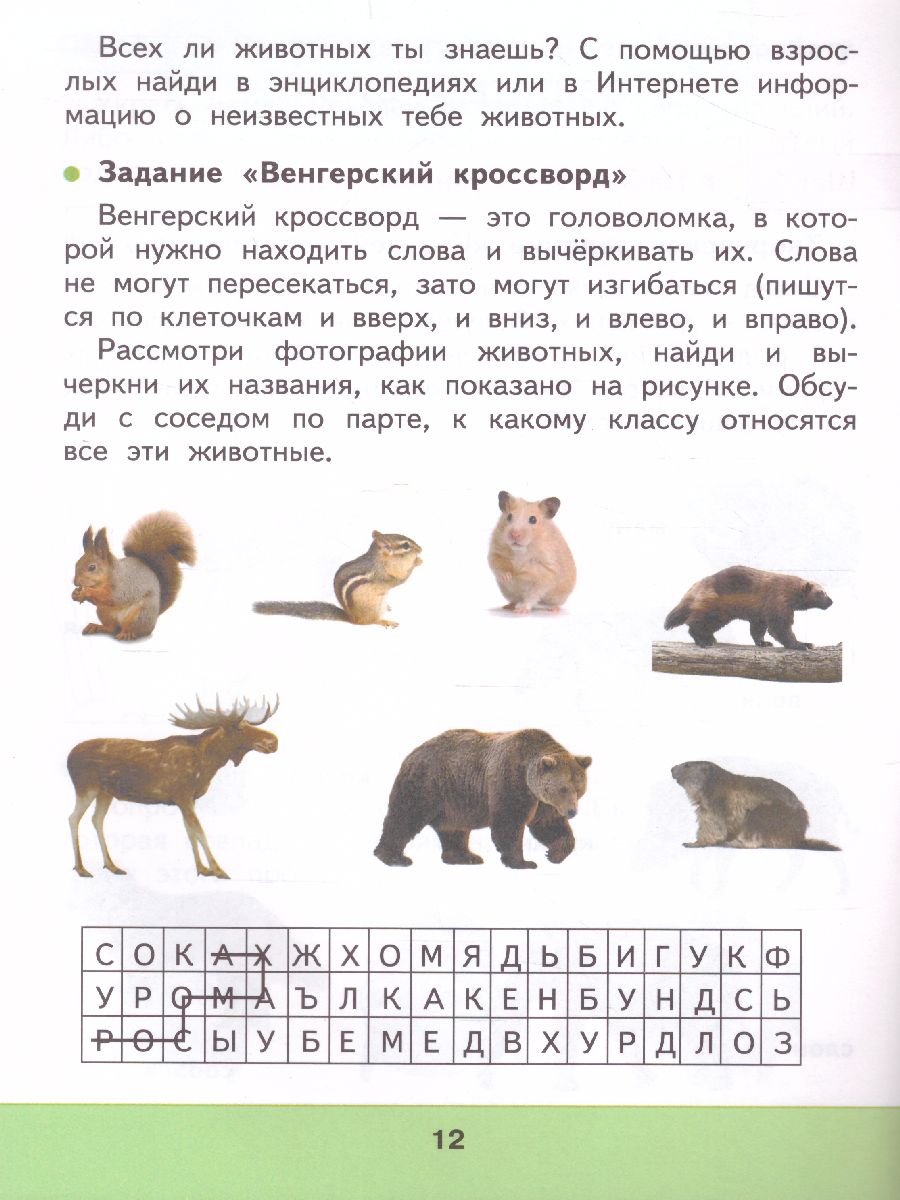 Обложка книги Технология 2 класс. Мастерская творческих проектов. УМК "Школа России", Автор Лутцева Е.А. Корнева Т.А. Корнев О.А., издательство Просвещение | купить в книжном магазине Рослит
