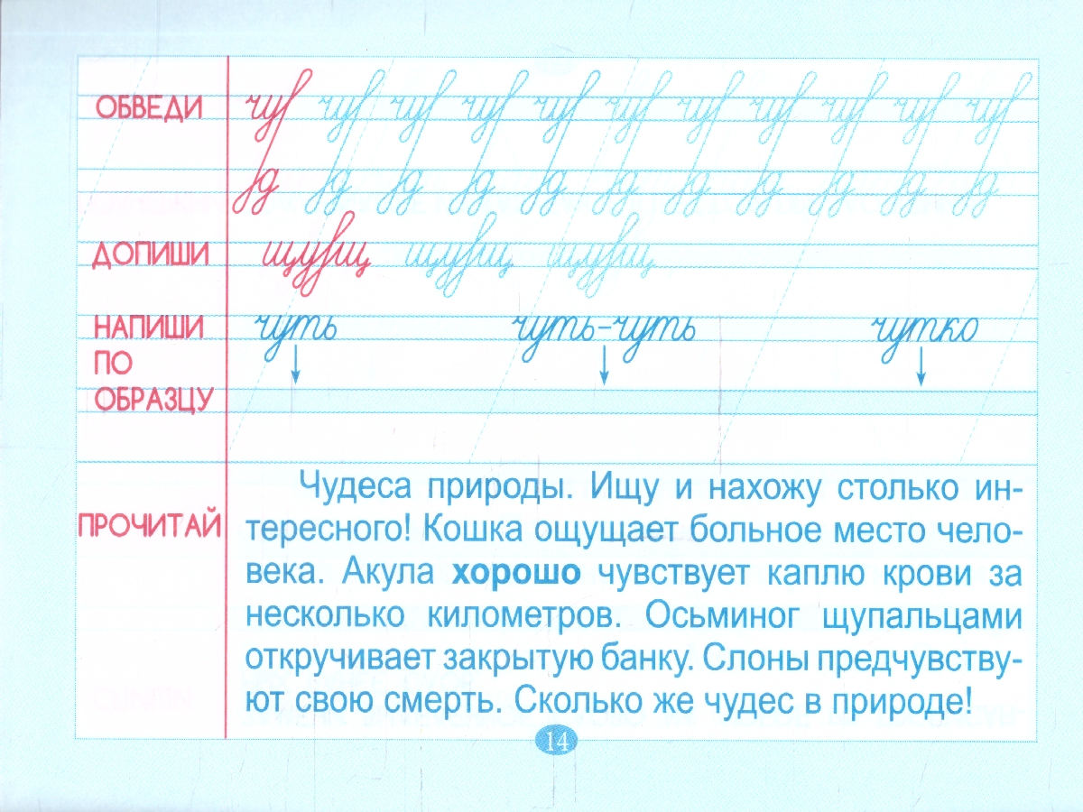 Обложка книги Тренажёр по чистописанию. Подготовка к контрольному списыванию 2 класс, Автор Тарасова Л. Е., издательство 5 за знания | купить в книжном магазине Рослит