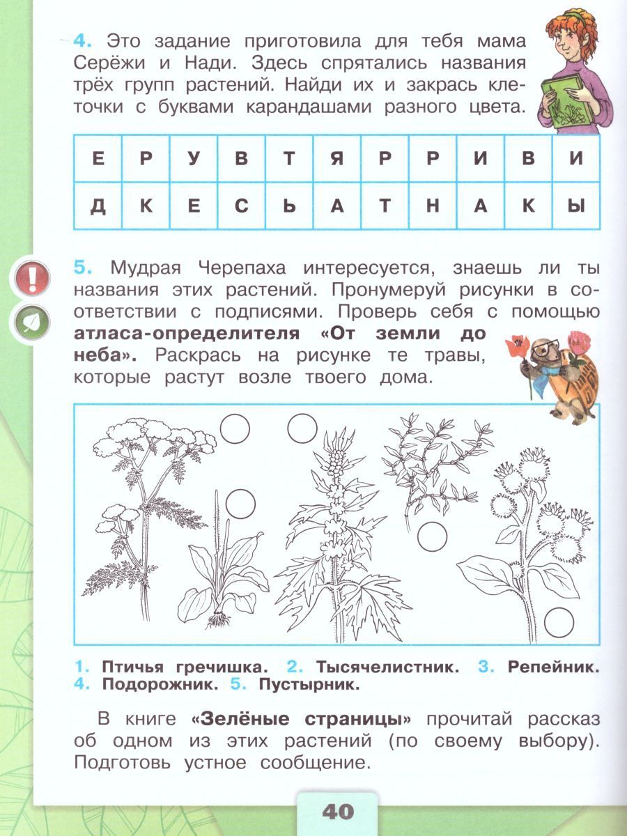 Обложка книги Окружающий мир 2 класс. Рабочая тетрадь в 2-х частях. Часть 1, Автор Плешаков А.А., издательство Просвещение | купить в книжном магазине Рослит