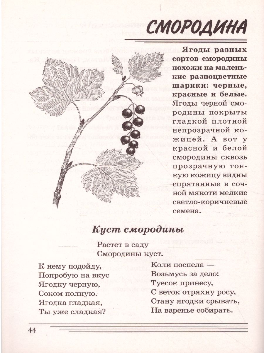 Обложка книги Ягоды. Какие они? Знакомство с окружающим миром, развитие речи, Автор Шорыгина Т.А., издательство ГНОМ | купить в книжном магазине Рослит