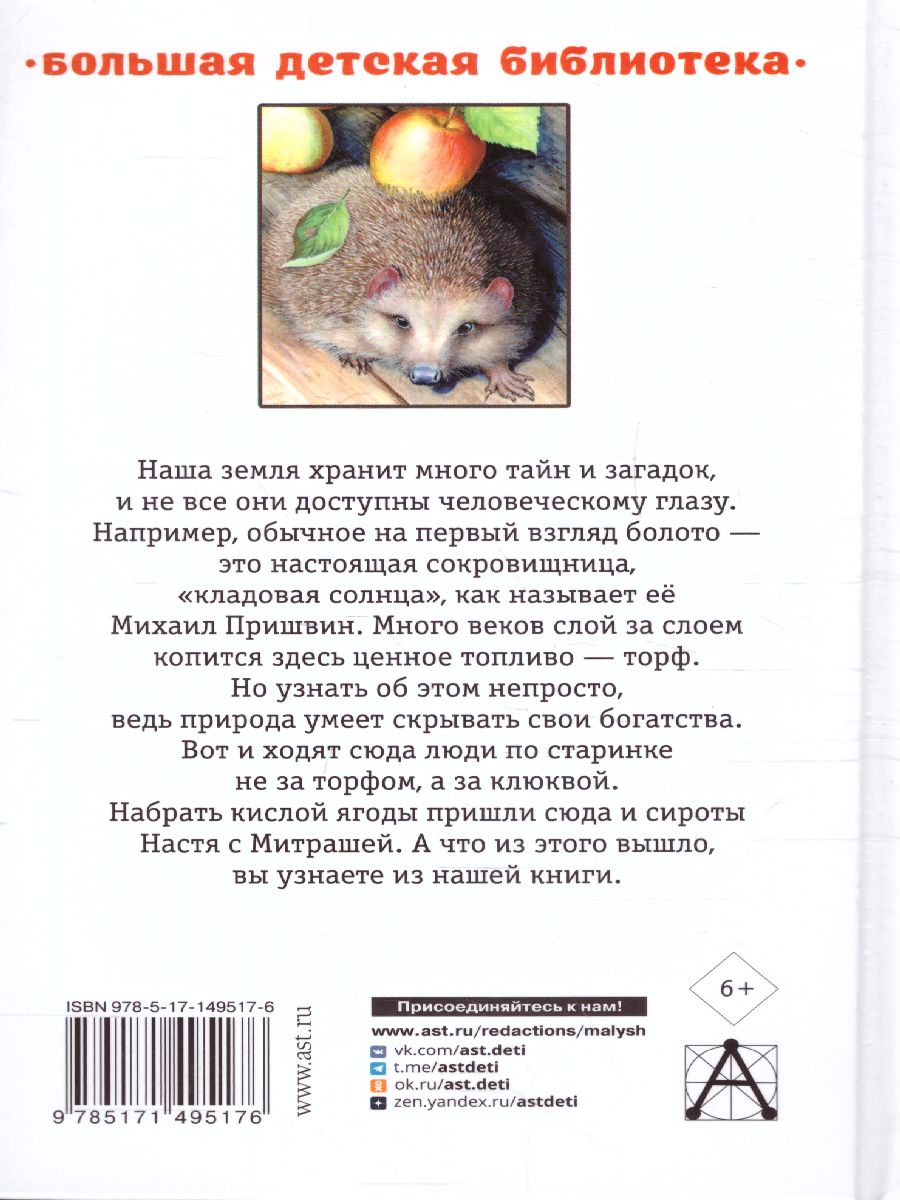 Обложка книги Кладовая солнца. Повесть и рассказы. Большая детская библиотека, Автор Пришвин М.М., издательство АСТ | купить в книжном магазине Рослит
