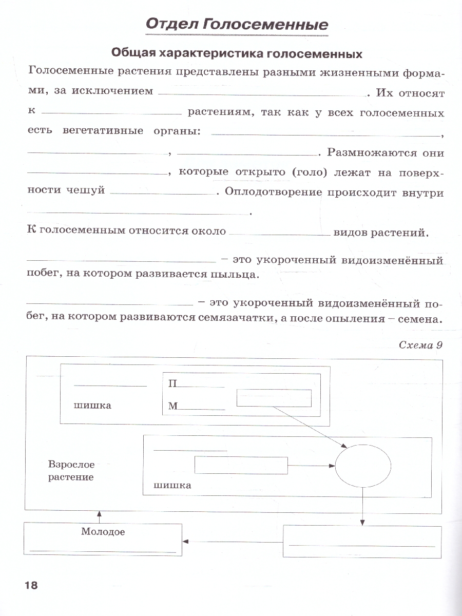 Обложка книги Биология 7 класс. Рабочая тетрадь. ФГОС, Автор Бодрова Н. Ф., издательство ТЦУ | купить в книжном магазине Рослит