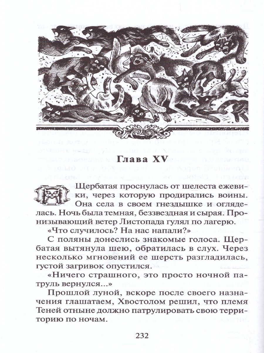 Обложка Коты-воители. Цикл "Тайна Щербатой". Наказание, издательство Просвещение/Союз                                   | купить в книжном магазине Рослит