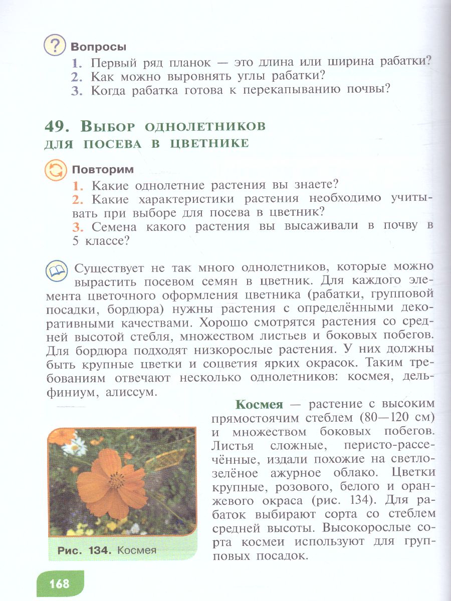 Обложка книги Технология 6 класс. Цветоводство и декоративное садоводство (для обучающихся с интеллектуальными нарушениями), Автор Карман Н.М. Ковалева Е.А. Зак Г.Г., издательство Просвещение | купить в книжном магазине Рослит