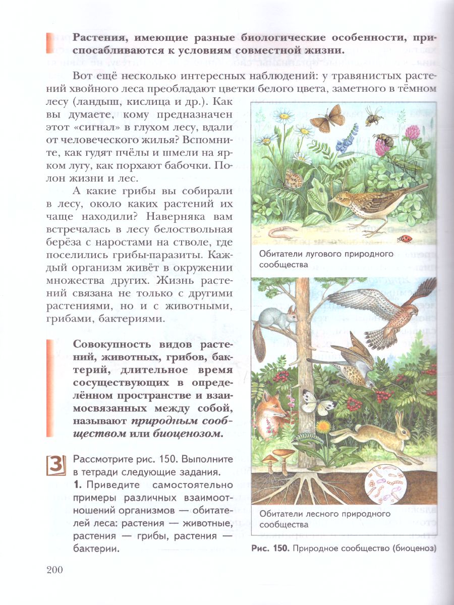 картинка Биология 6 класс. Учебник. ФГОС от магазина Рослит