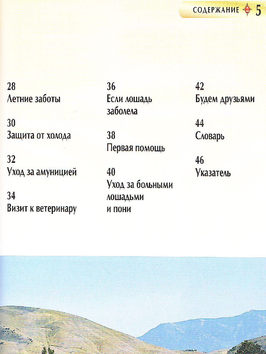 Обложка Лошади и пони, издательство РОСМЭН | купить в книжном магазине Рослит