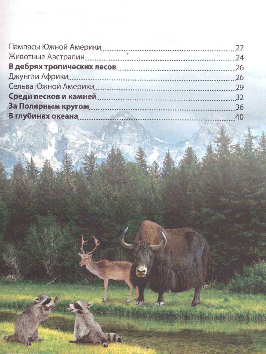 Обложка Детская энциклопедия "Животные", издательство Буква-Ленд                                         | купить в книжном магазине Рослит