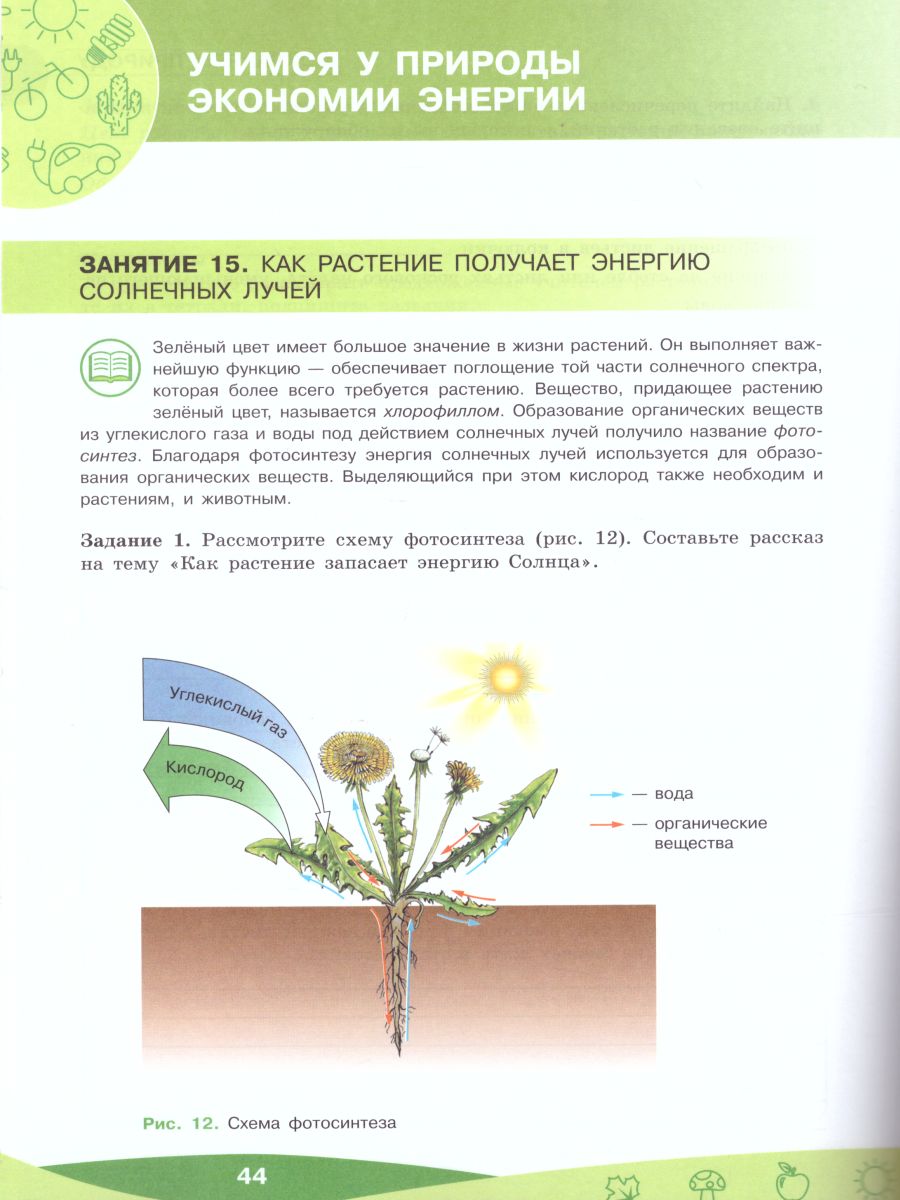 Обложка книги Чему природа учит человека? 5-6 классы, Автор Алексашина И.Ю. Лагутенко О.И., издательство Просвещение/Союз                                   | купить в книжном магазине Рослит