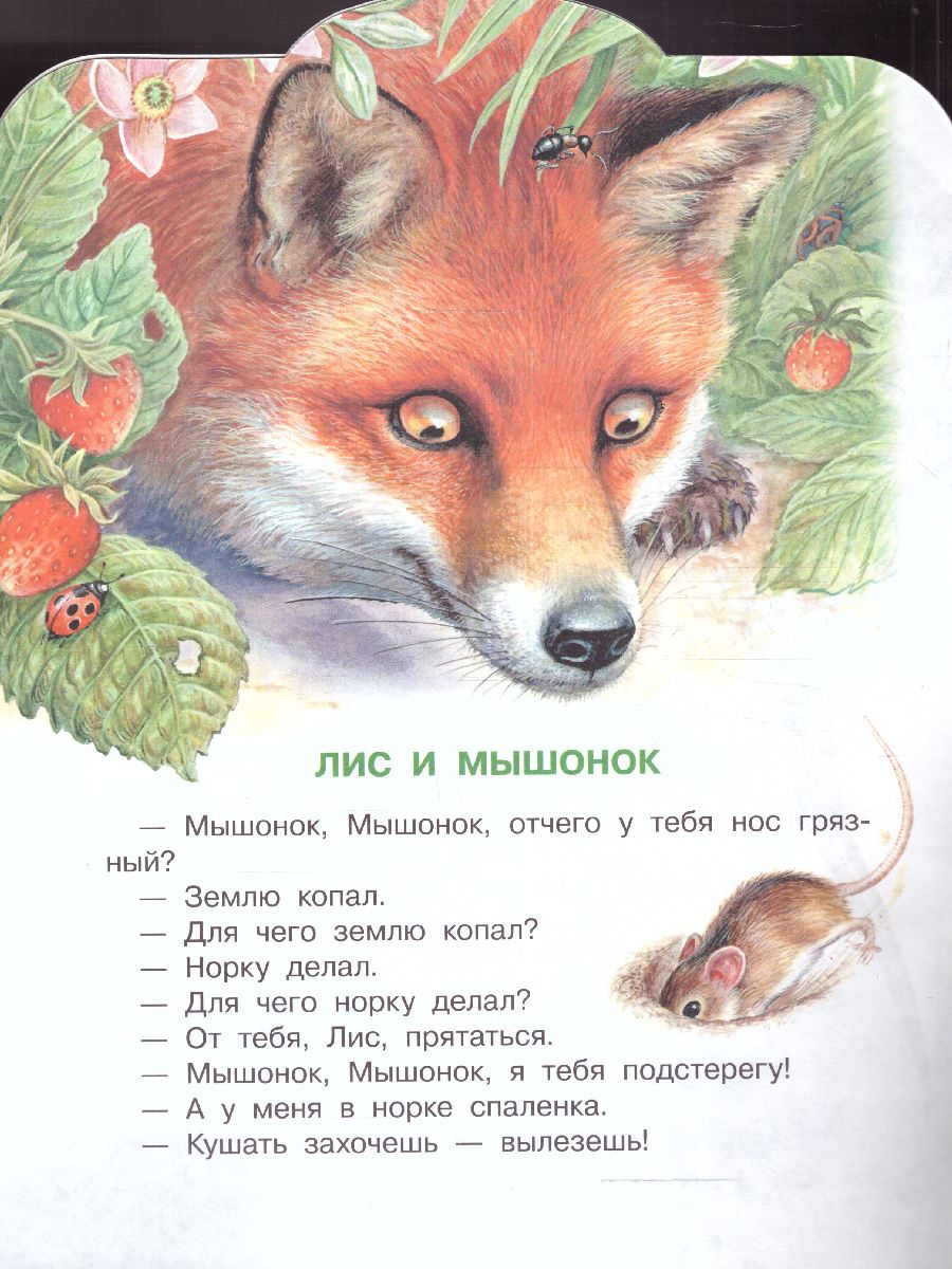 Обложка Кто чем поёт? /МалышЧитай, издательство АСТ | купить в книжном магазине Рослит