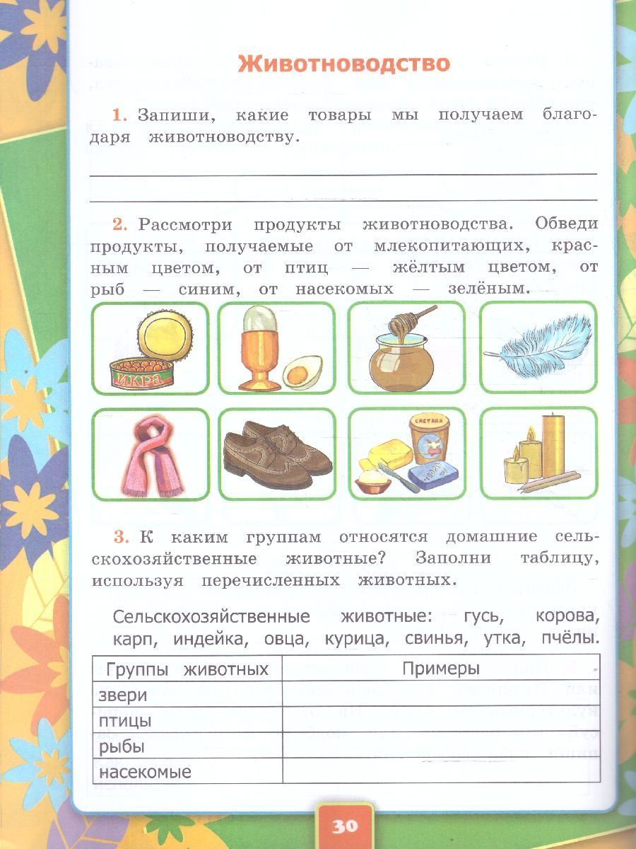 Обложка книги Окружающий мир 3 класс. Рабочая тетрадь. Часть 2. К новому учебнику. УМК Плешакова. ФГОС НОВЫЙ, Автор Соколова Н.А., издательство Экзамен | купить в книжном магазине Рослит