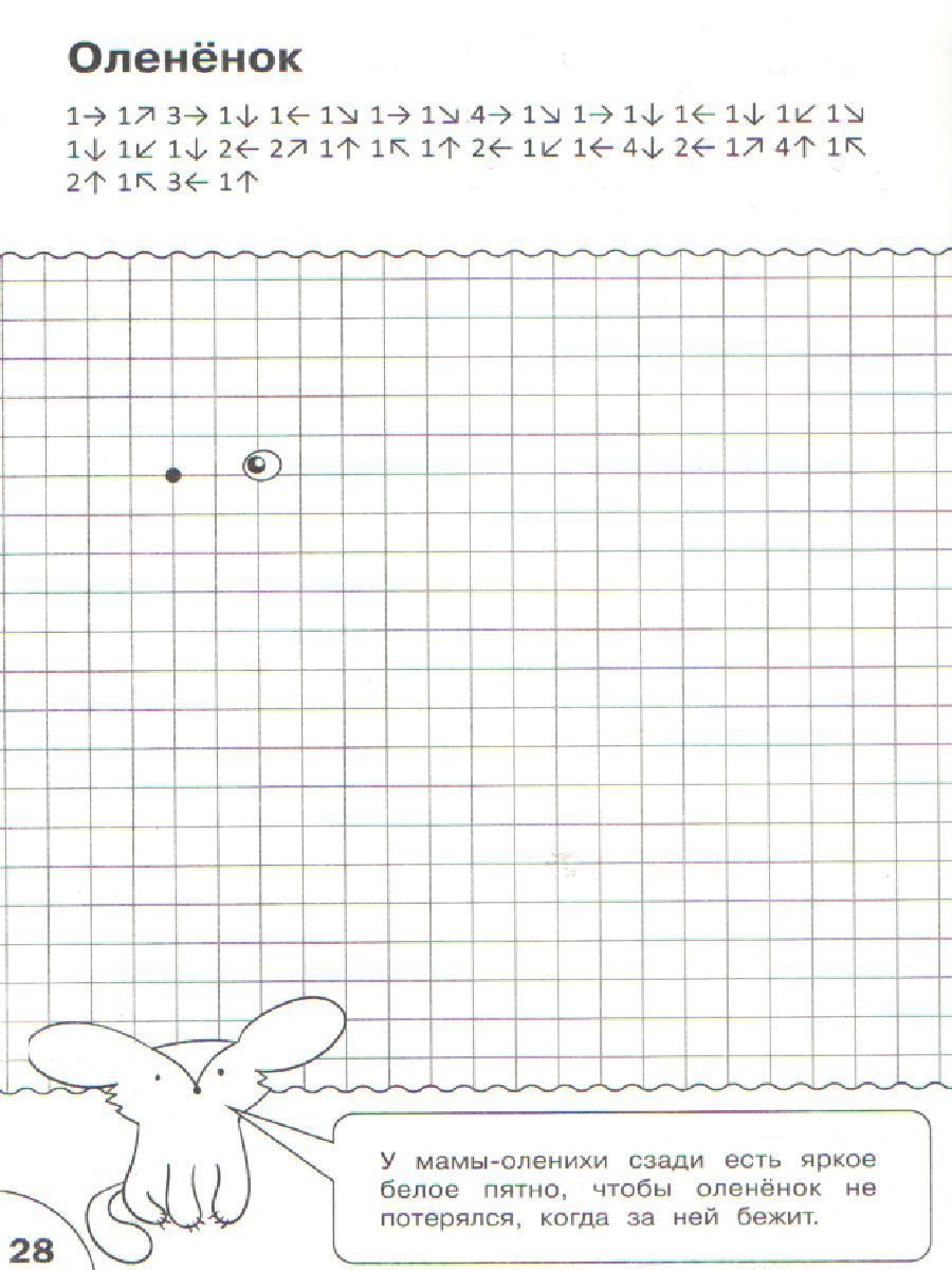 Обложка книги Графические диктанты. Животные. Развивающие задания. ФГОС, Автор Медов В. М., издательство Вако | купить в книжном магазине Рослит