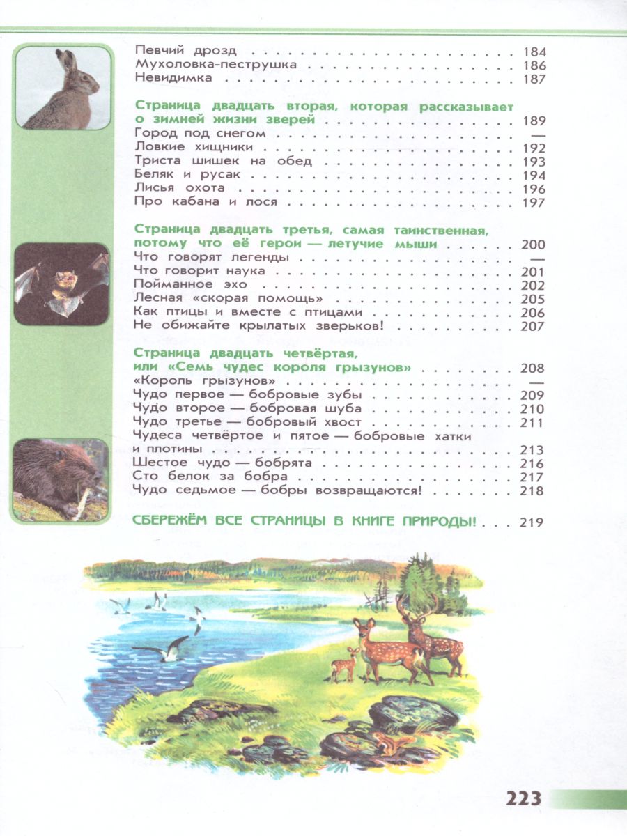 Обложка книги Зеленые страницы. Книга для учащихся начальных классов. ФГОС. УМК "Школа России", Автор Плешаков А.А., издательство Просвещение | купить в книжном магазине Рослит