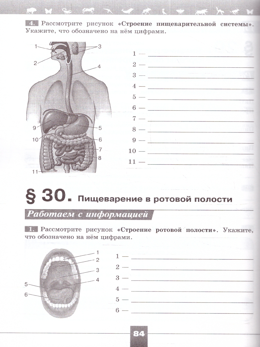 Обложка книги Биология 9 класс. Рабочая тетрадь. УМК "Линия жизни". ФГОС, Автор Пасечник В. В. Суматохин С. В. Калинова Г. С., издательство Просвещение | купить в книжном магазине Рослит