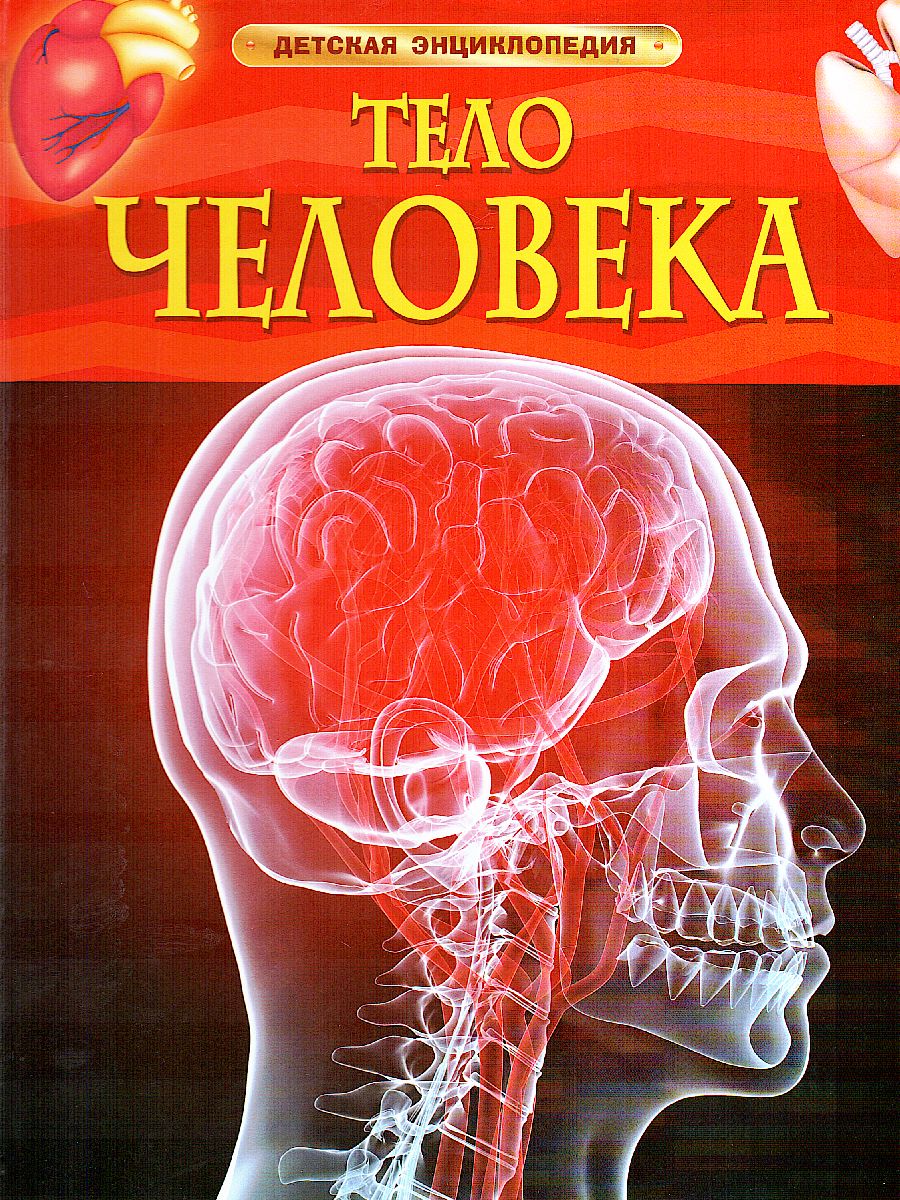 Обложка Тело человека (ДЭР), издательство РОСМЭН | купить в книжном магазине Рослит
