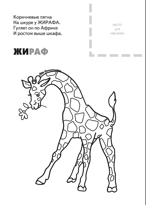 Обложка книги Раскраска с наклейками. Животные жарких стран, Автор Бурмистрова Л.А. Мороз В., издательство Мозаика-Синтез | купить в книжном магазине Рослит