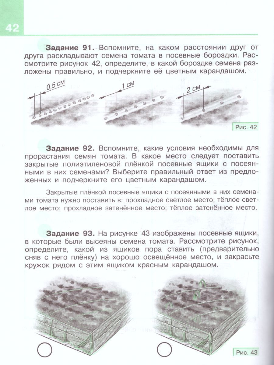 Обложка книги Технология 8 класс. Сельскохозяйственный труд. Рабочая тетрадь для специальных (коррекционных) образовательных учреждений VIII вида, Автор Ковалёва Е.А., издательство Просвещение | купить в книжном магазине Рослит