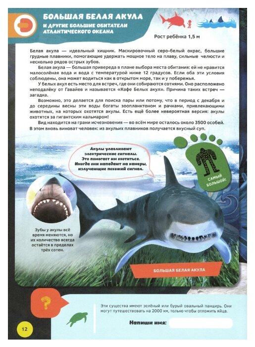 Обложка Энциклопедия 4D в дополненной реальности «Подводные жители», мягк.обл, издательство Буква-Ленд                                         | купить в книжном магазине Рослит