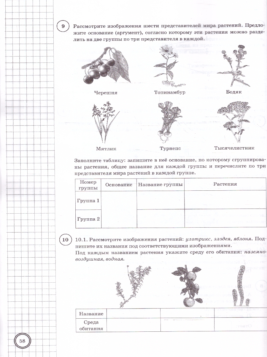 Обложка книги ВПР Биология 7 класс. Типовые задания. 10 вариантов. ФГОС Новый, Автор Галас Т. А., издательство Экзамен | купить в книжном магазине Рослит