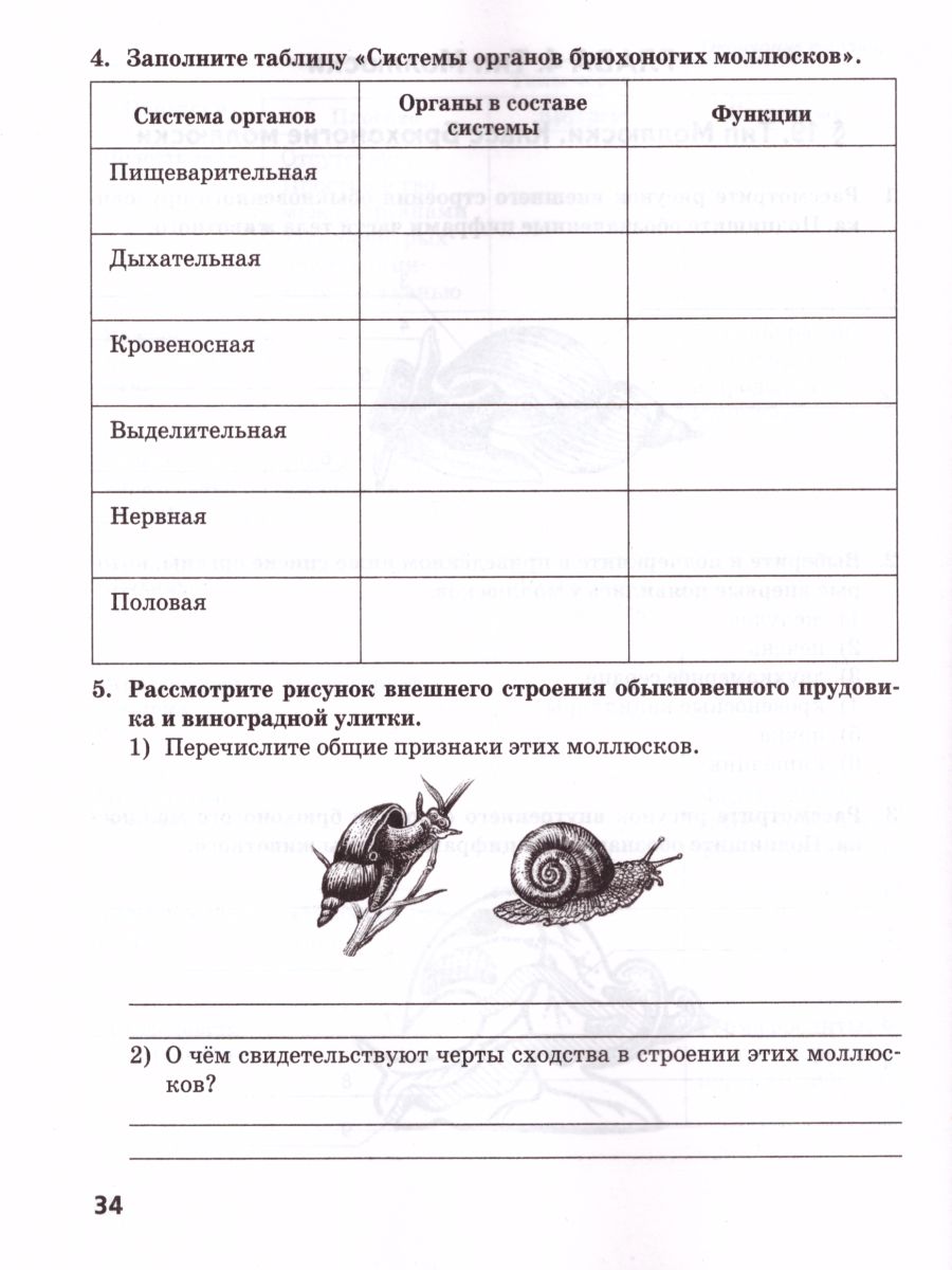 Обложка книги Биология 7 класс. Рабочая тетрадь. ФГОС, Автор Тихонова Е.Т. Романова Н.И., издательство Русское слово | купить в книжном магазине Рослит