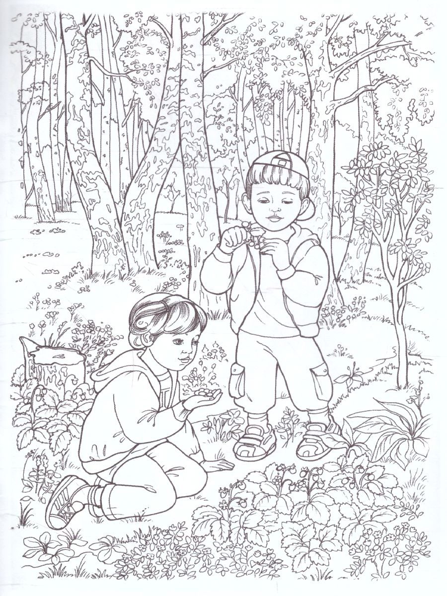 Обложка книги Раскраска "Лето", Автор , издательство Страна фантазий | купить в книжном магазине Рослит