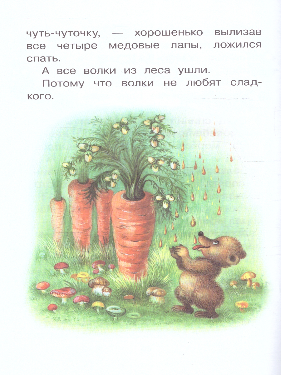 Обложка книги Сказки о Ёжике и Медвежонке, Автор Козлов С.Г., издательство АСТ | купить в книжном магазине Рослит