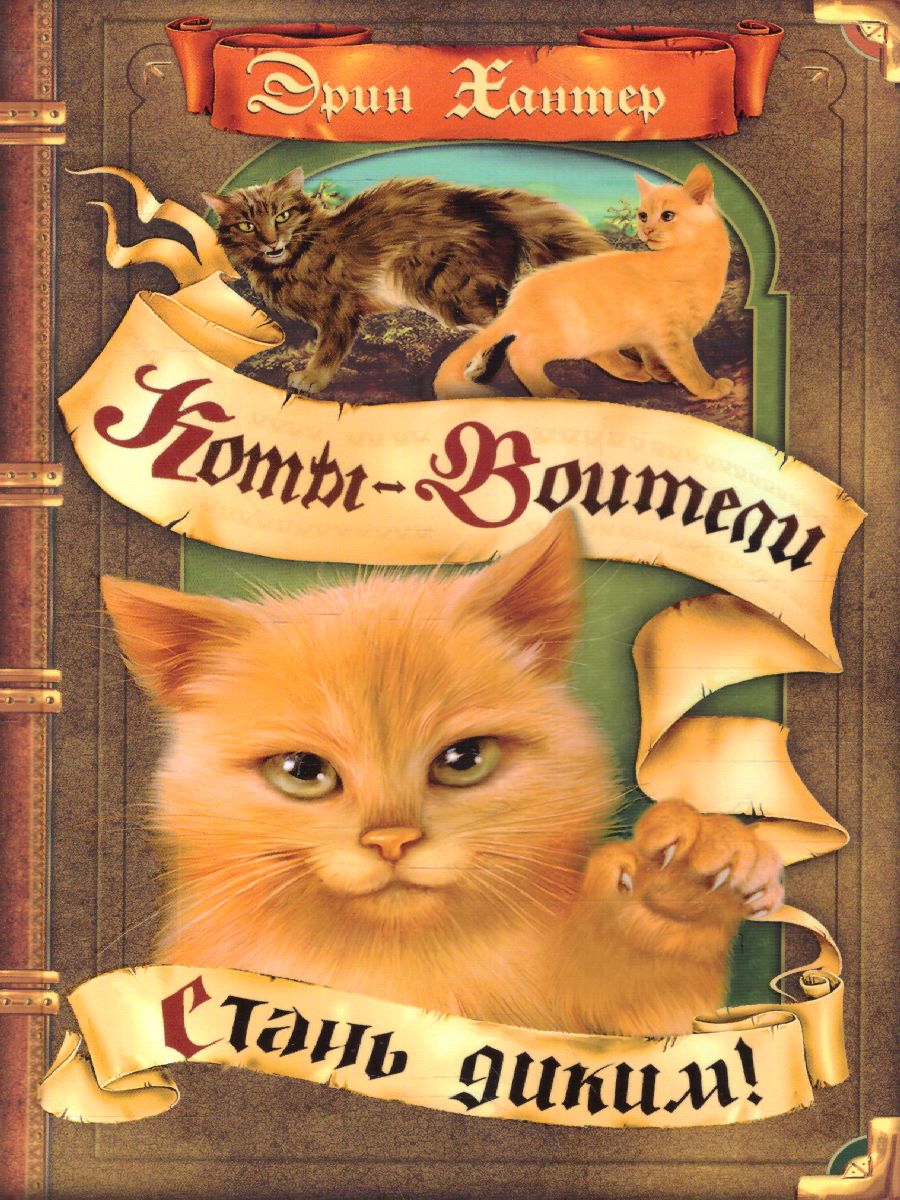 Обложка Коты-воители. Цикл "Воители". Стань диким!, издательство Просвещение/Союз                                   | купить в книжном магазине Рослит