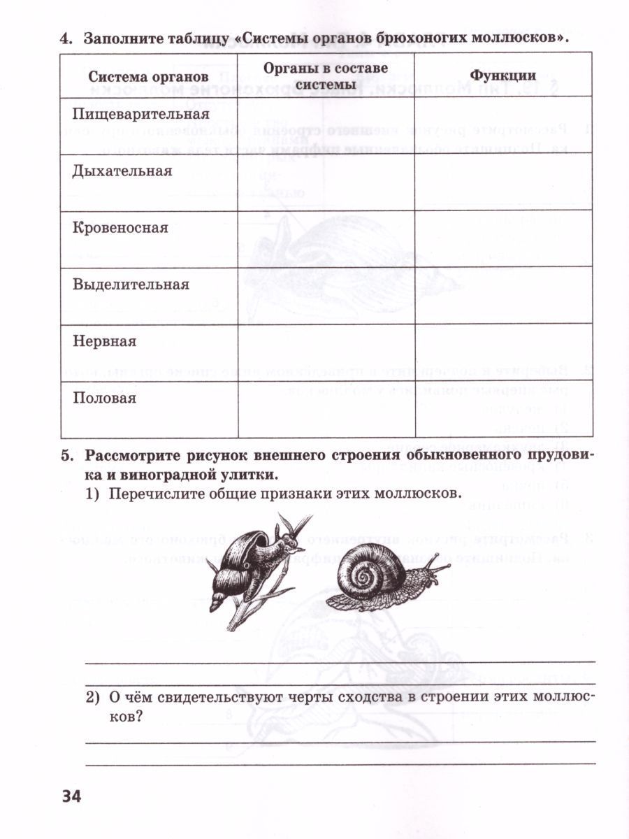 Обложка книги Биология 7 класс. Рабочая тетрадь. ФГОС, Автор Тихонова Е.Т. Романова Н.И., издательство Русское слово | купить в книжном магазине Рослит