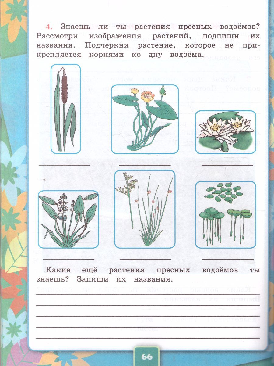 картинка Окружающий мир 4 класс. Рабочая тетрадь № 1. К учебнику А. А. Плешакова, Е. А. Крючковой "Окружающий мир. 4 класс. В 2-х частях. Часть 1" ФГОС от магазина Рослит