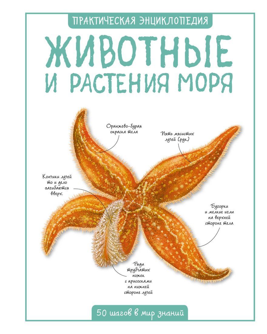 Обложка Животные и растения моря. Практическая энциклопедия. 50 шагов в мир знаний, издательство Махаон | купить в книжном магазине Рослит
