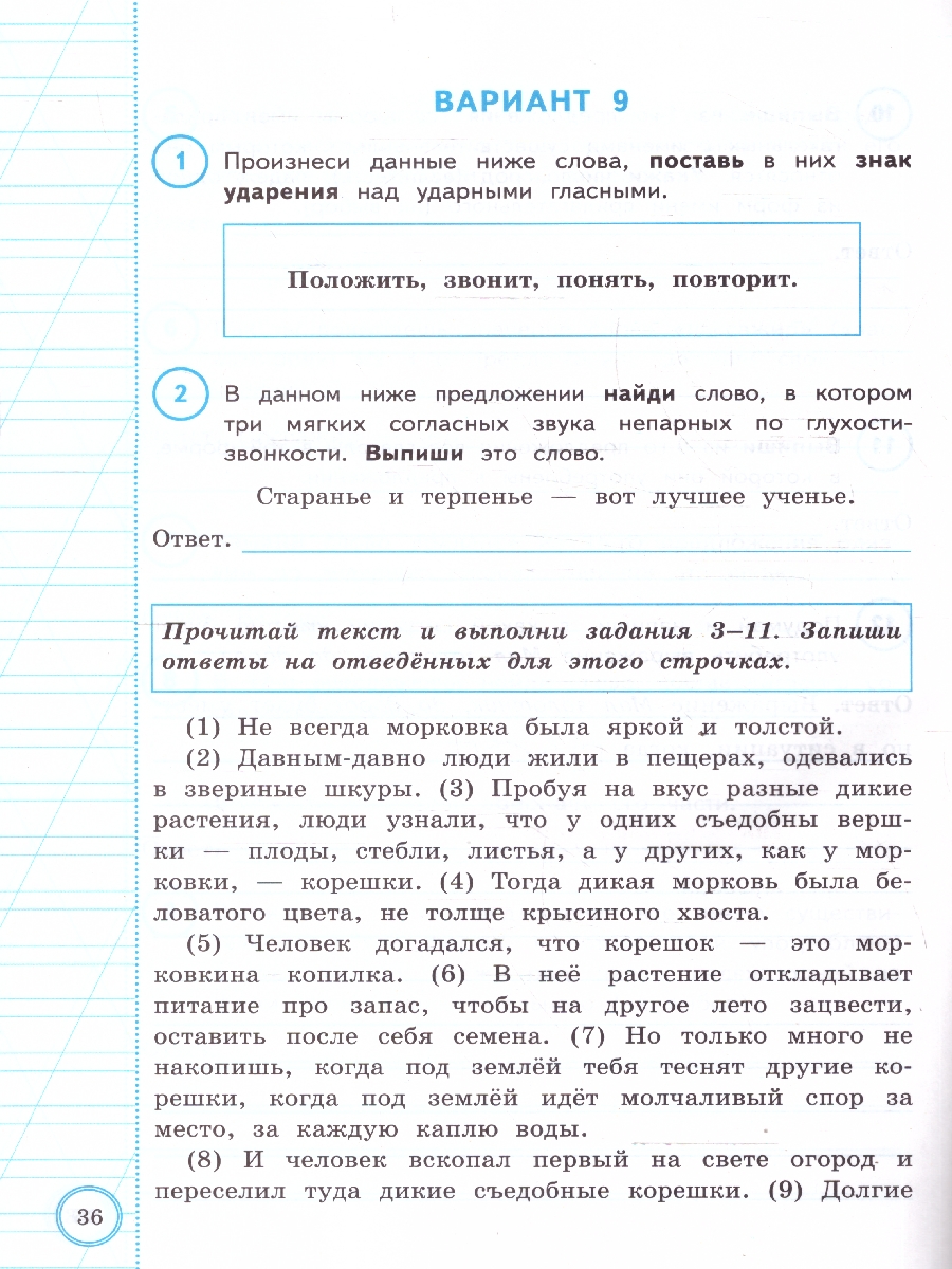 Обложка книги ВПР Русский язык 3 класс. Практикум. 10 вариантов. ФГОС Новый, Автор Волкова Е.В.; Птухина А.В., издательство Экзамен | купить в книжном магазине Рослит