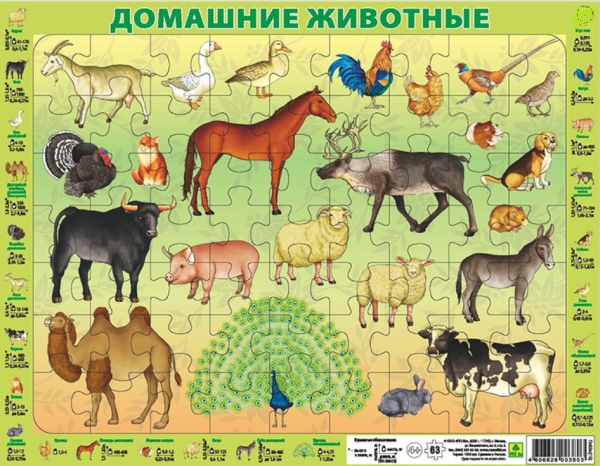 Обложка книги Детский пазл на подложке. Домашние животные. (36х28см,63эл.), Автор , издательство РУЗ Ко | купить в книжном магазине Рослит