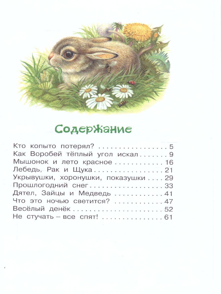 Обложка книги Лесные истории, Автор Шим Э.Ю., издательство АСТ | купить в книжном магазине Рослит