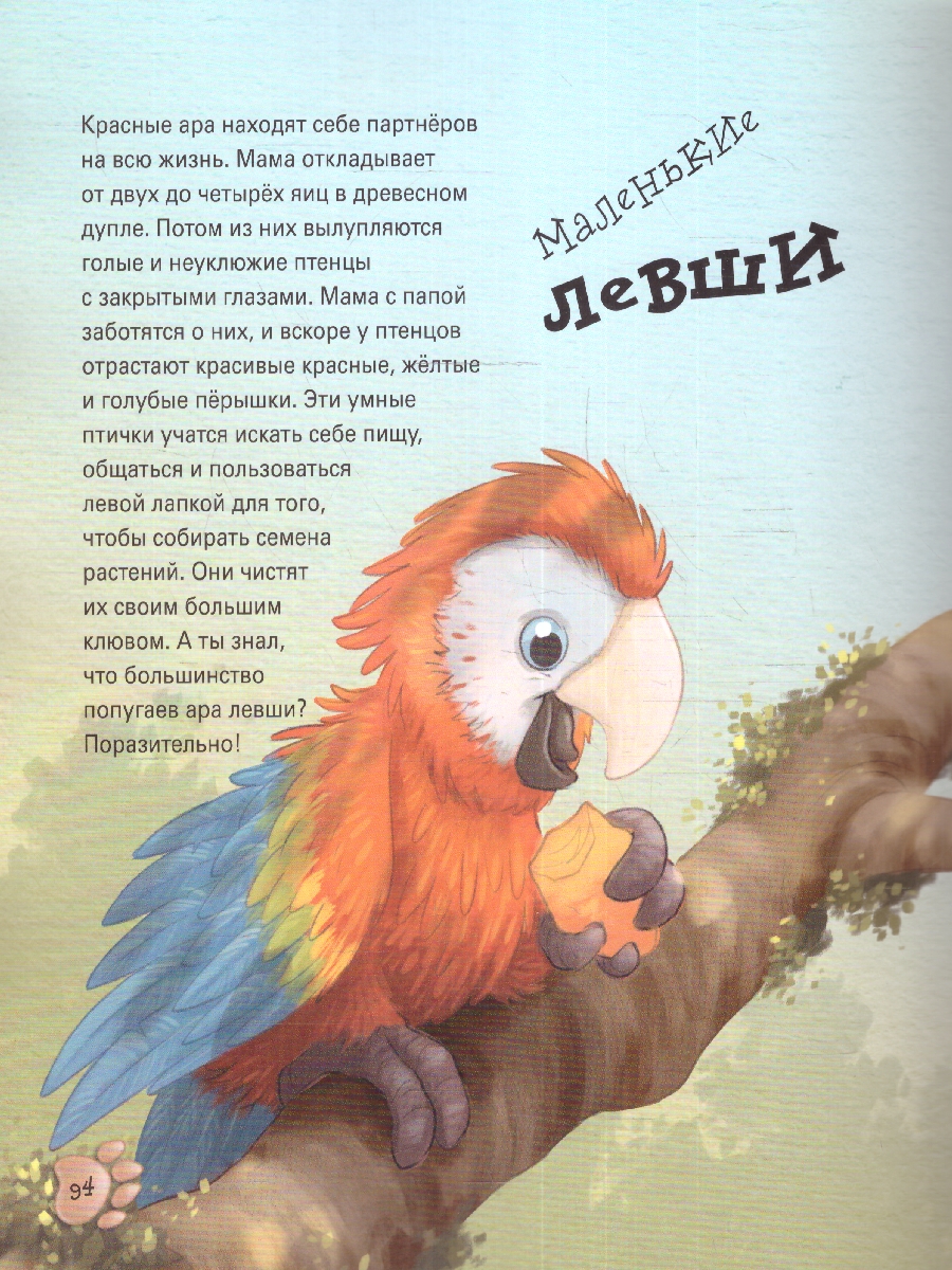 Обложка Забавные малыши животных, издательство Фолиант-М                                          | купить в книжном магазине Рослит