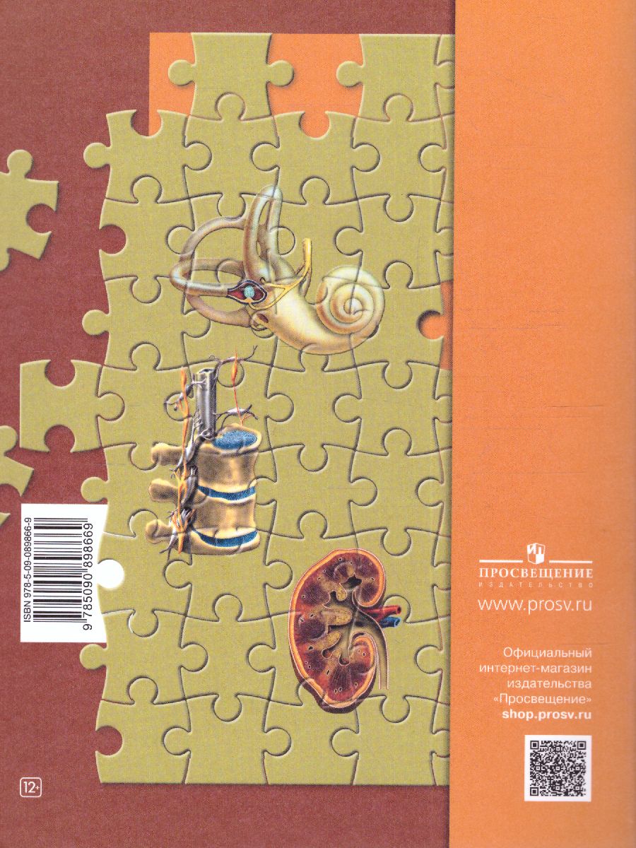 Обложка книги Биология 8 класс. Рабочая тетрадь №2 ФГОС, Автор Маш Р.Д. Драгомилов А.Г., издательство Просвещение | купить в книжном магазине Рослит