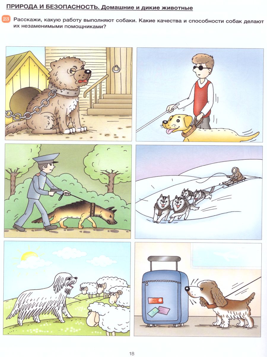 Обложка книги Формирование культуры безопасности. Старшая группа. Рабочая тетрадь, Автор Тимофеева Л.Л., издательство ДЕТСТВО-ПРЕСС | купить в книжном магазине Рослит