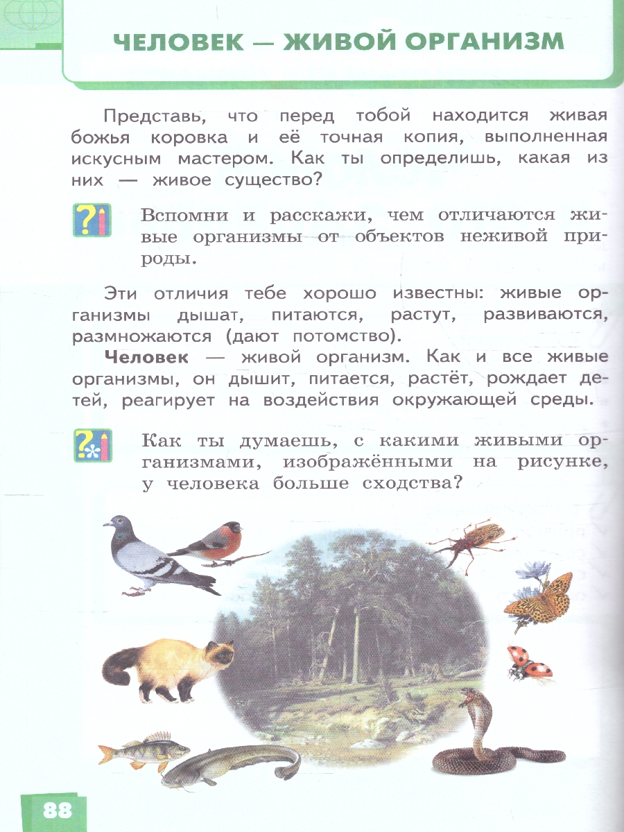 Обложка книги Окружающий мир 4 класс. Часть1. ФГОС, Автор Романова Н. И. Самкова В. А., издательство Русское слово | купить в книжном магазине Рослит