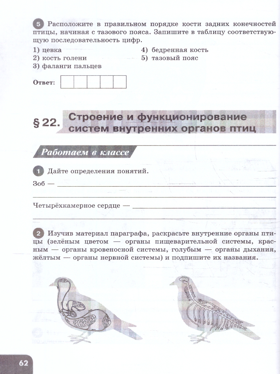 Обложка книги Биология 8 класс. Углублённый уровень. Рабочая тетрадь. 2 часть, Автор Суматохин С.В.;Носова Е.В.;Громова Н.П., издательство Просвещение | купить в книжном магазине Рослит