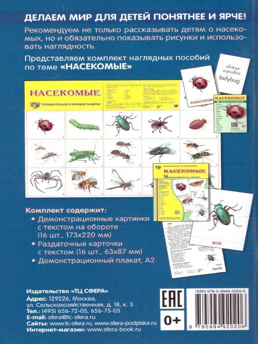 Обложка книги Беседы о насекомых с детьми 5-8 лет. 2-е издание, исправленное, Автор Шорыгина Т.А., издательство Сфера | купить в книжном магазине Рослит