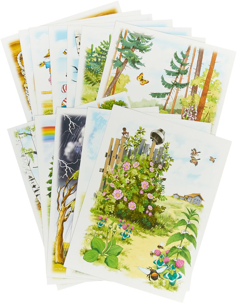 Обложка книги Беседы с ребенком. Лето. 12 картинок с текстом на обороте А5, Автор Шипунова В.А., издательство Сфера | купить в книжном магазине Рослит