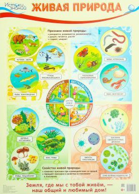 Обложка книги Демонстрационный плакат Живая природа /А2 (в индивидуальной упаковке с евро-подвесом), Автор , издательство Сфера | купить в книжном магазине Рослит