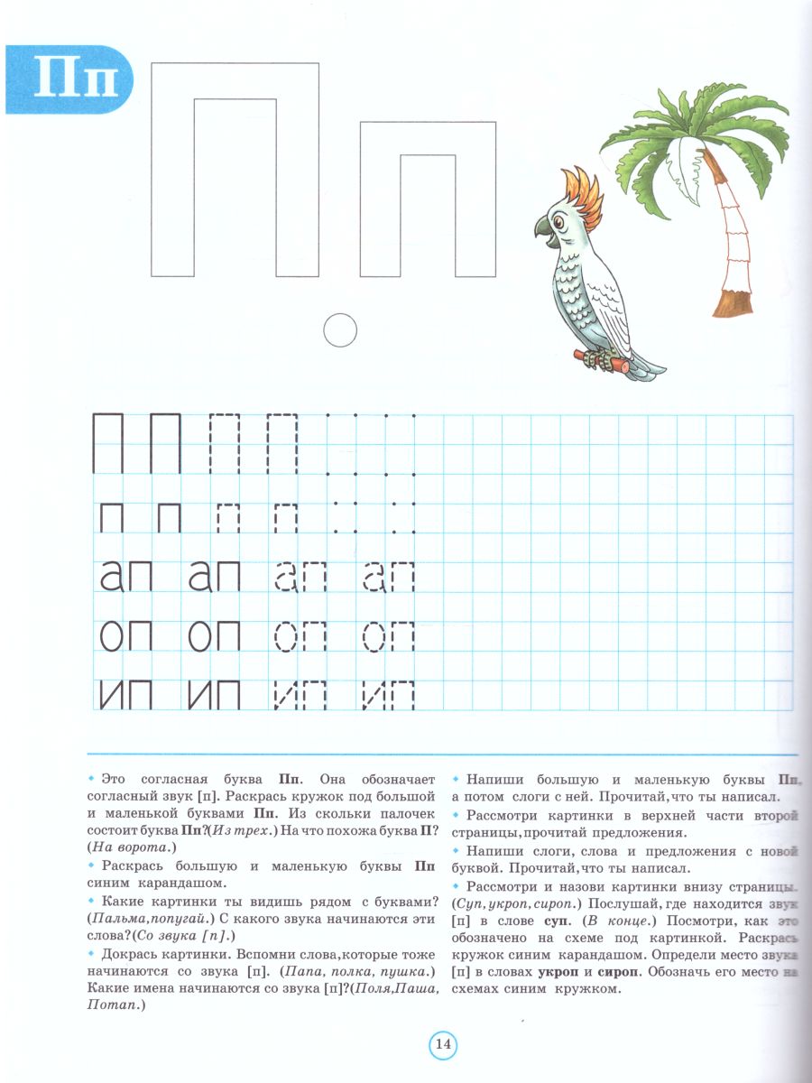 Обложка книги Тетрадь для обучения грамоте детей дошкольного возраста №1, Автор Нищева Н.В., издательство ДЕТСТВО-ПРЕСС | купить в книжном магазине Рослит