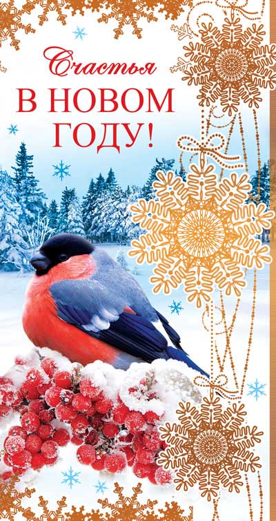 Обложка книги Открытка евроформата Счастья в Новом Году! Без текста НТ-14108 (золотая фольга)(Сфера), Автор НТ-14108, издательство Сфера | купить в книжном магазине Рослит