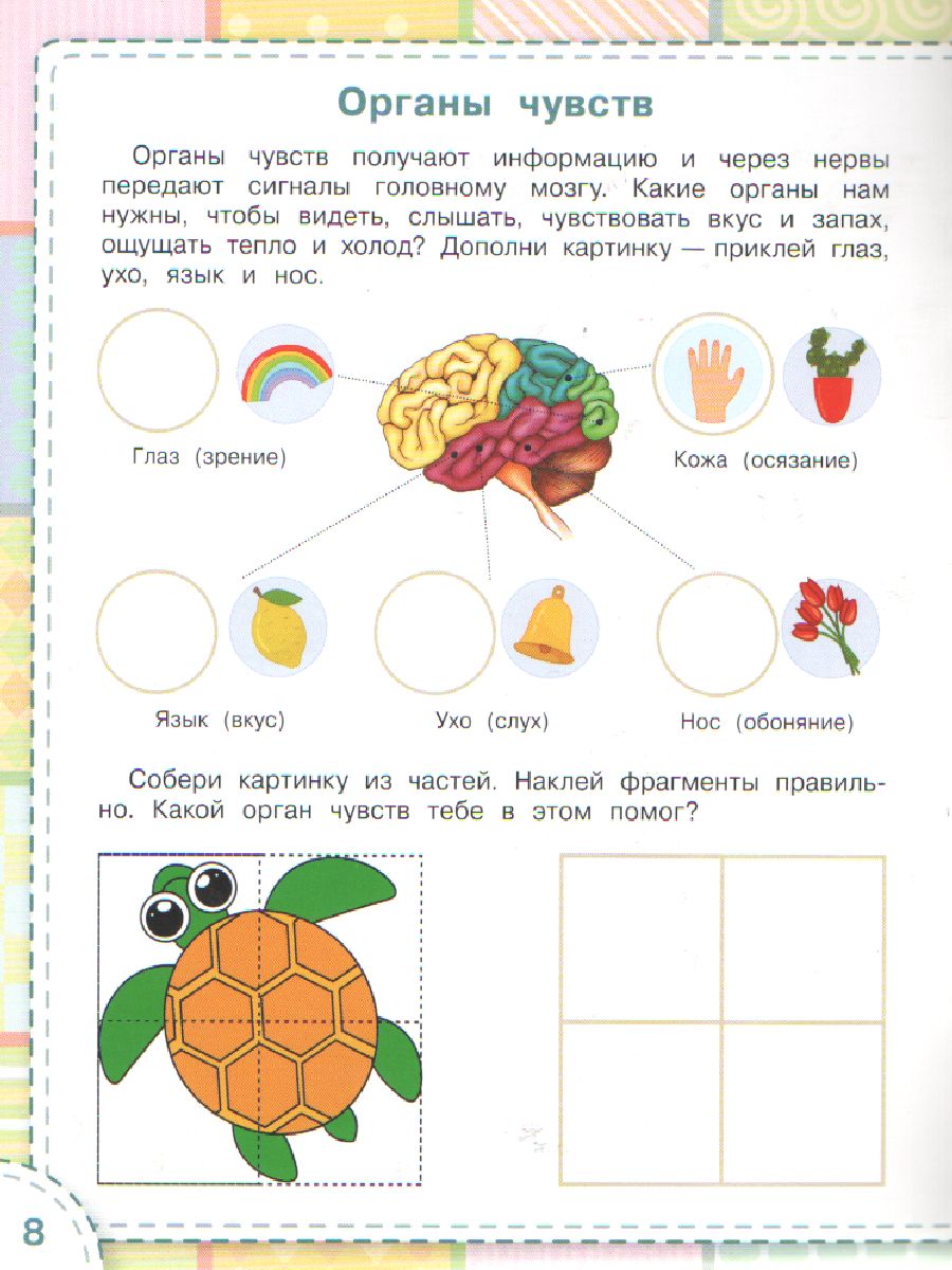 Обложка книги Книжка с многоразовыми наклейкми: Тело человека./ По дороге в школу: Наклейки  (Вако), Автор Чиркова С.В., издательство Вако | купить в книжном магазине Рослит