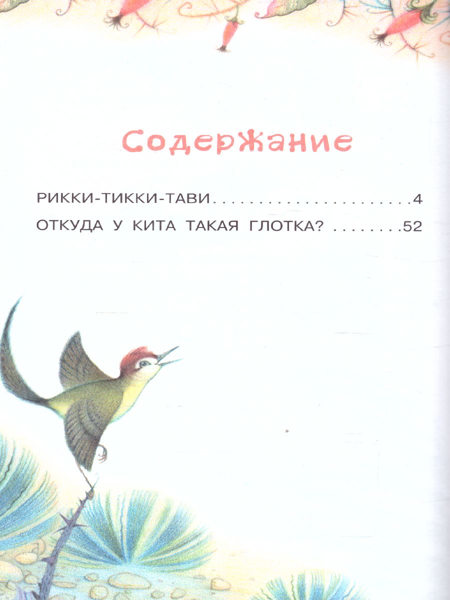 Обложка книги Рикки-Тикки-Тави. Сказки. Библиотека начальной школы, Автор Киплинг Р.Д., издательство АСТ | купить в книжном магазине Рослит