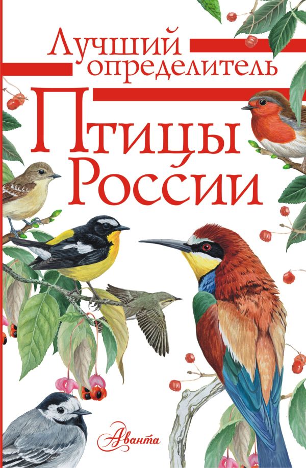 Обложка Птицы России, издательство АСТ | купить в книжном магазине Рослит