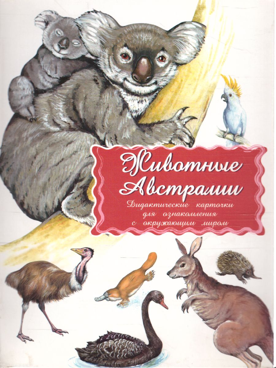 Обложка книги Дидактические карточки "Животные Австралии", Автор , издательство Маленький гений-Пресс | купить в книжном магазине Рослит